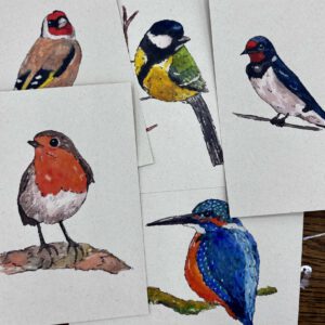 Foto van een verzameling ansichtkaarten met aquarel schilderingen van vogels