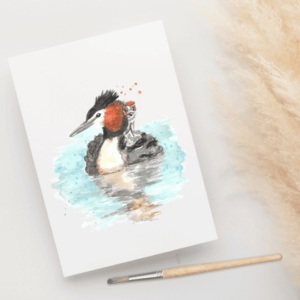 Een foto van een ansichtkaart met een aquarelschildering van een Fuut