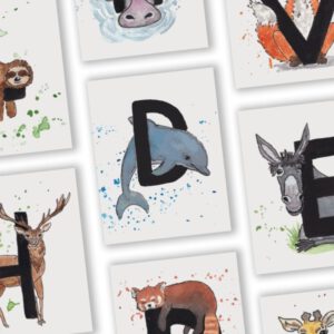 Foto van een letterkaart met een D van Dolfijn